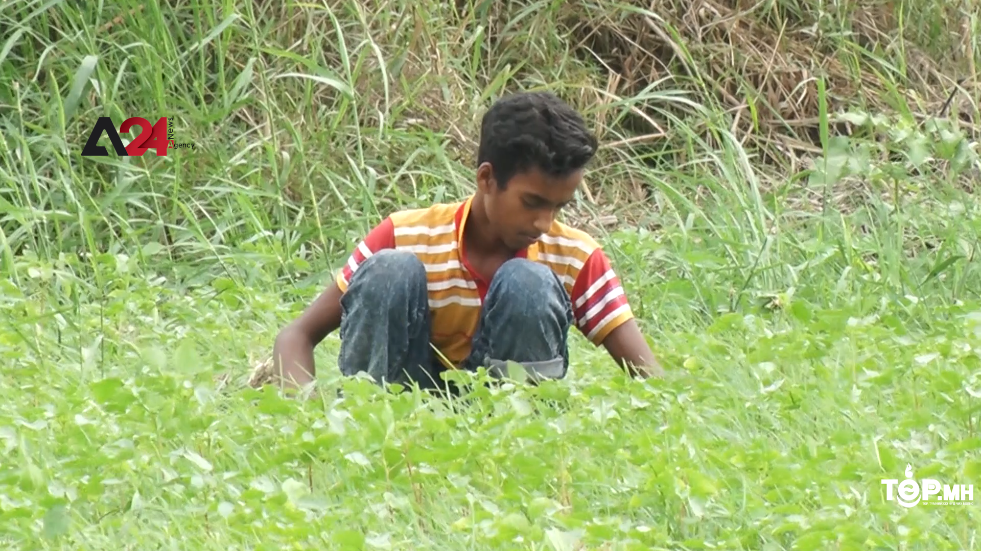 Бангладешийн уур амьсгалд дасан зохицох төслүүд