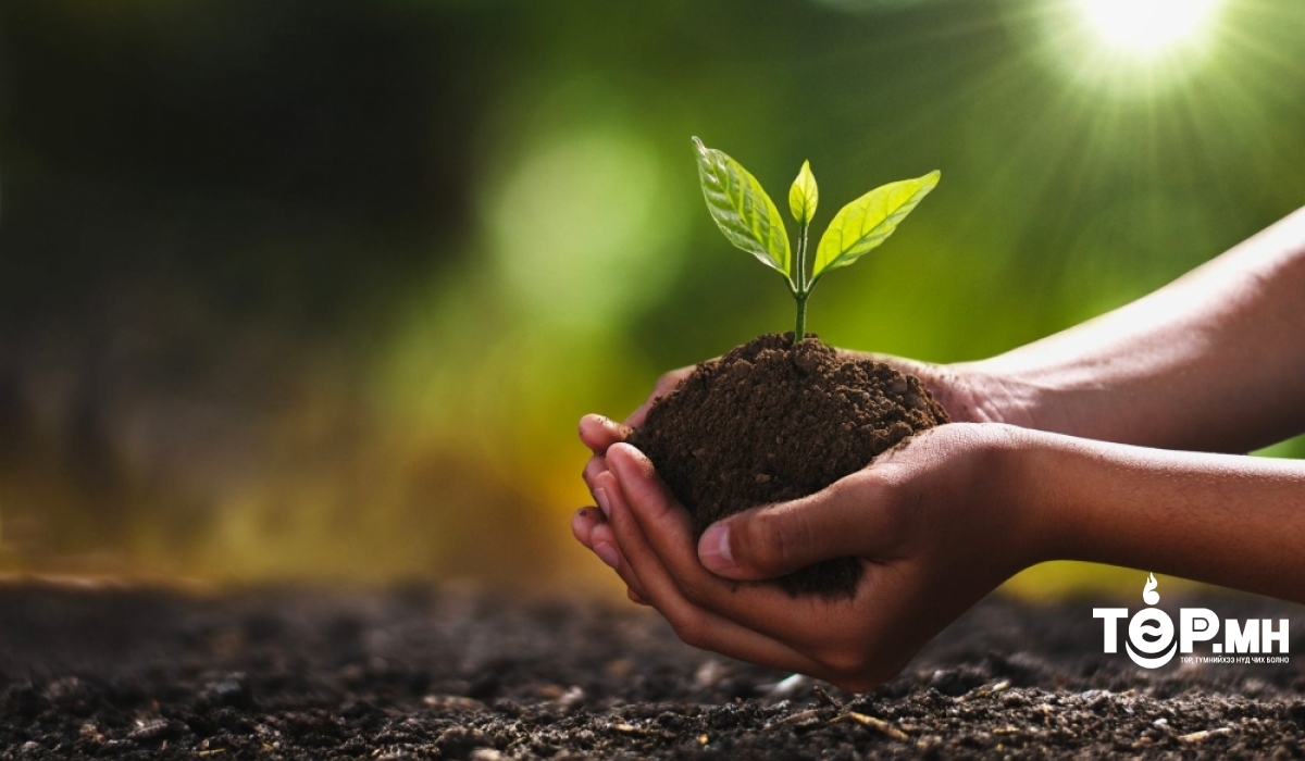 Тарьсан модоо хөрөнгө болгоё, түүнийг нь ТӨР ДЭМЖ