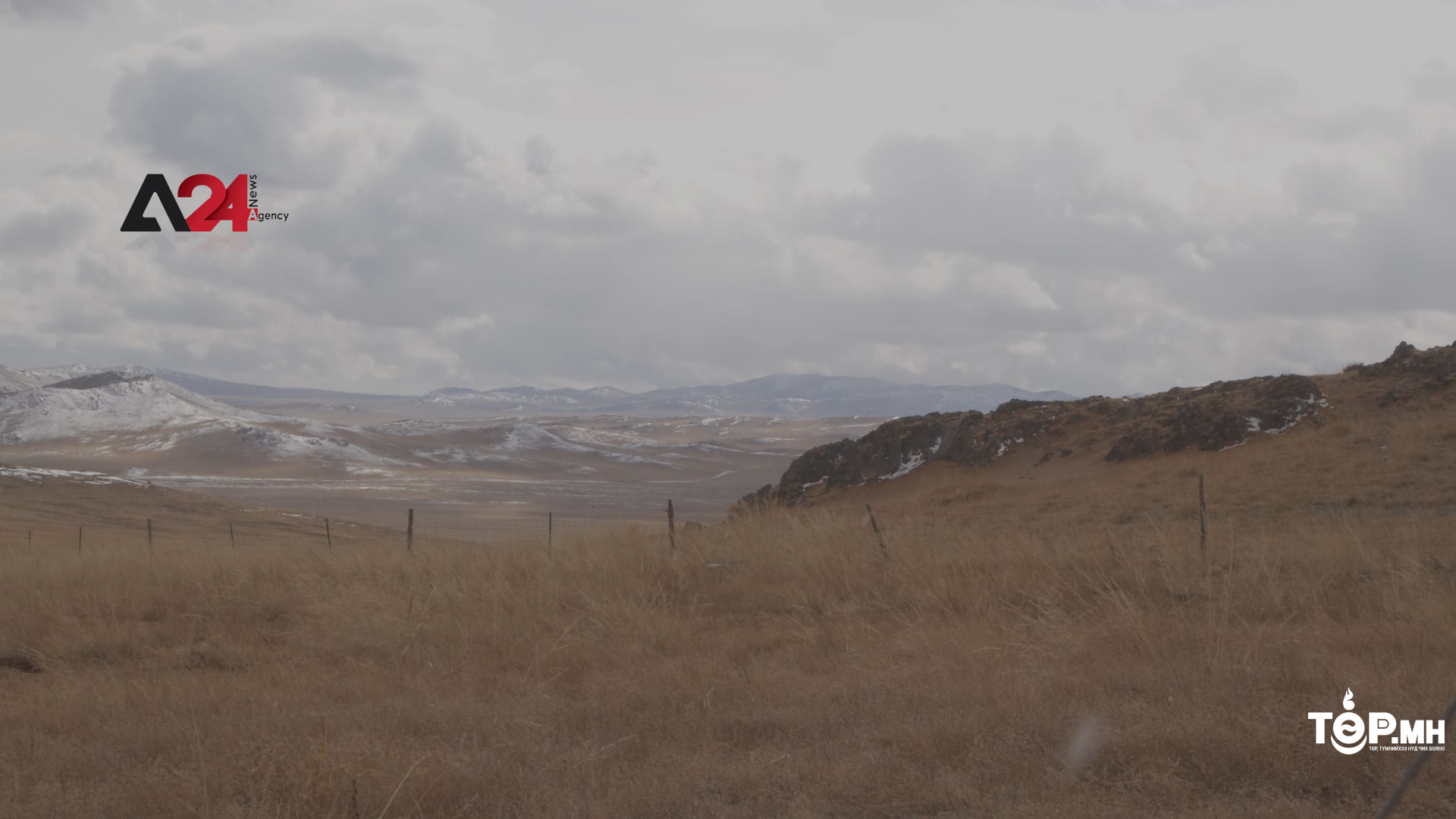 Цөлжилтөд өртсөн газарт хамгаалалтын ойн зурвас байгуулна