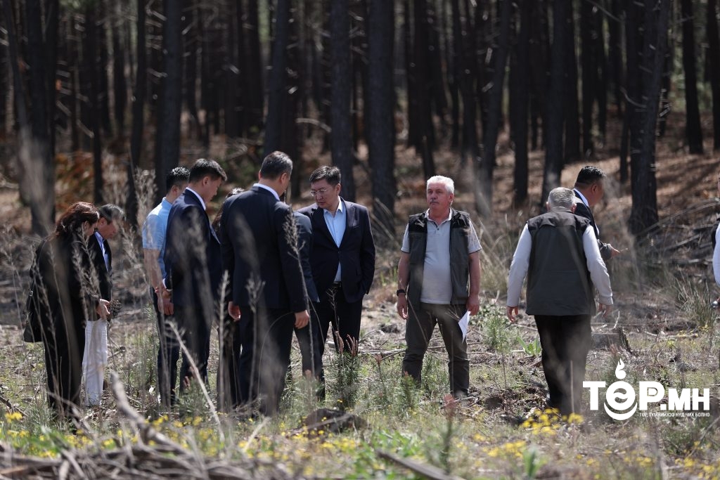 БНТУ-ын Истанбул хотын Ойн газартай хамтран ажиллана