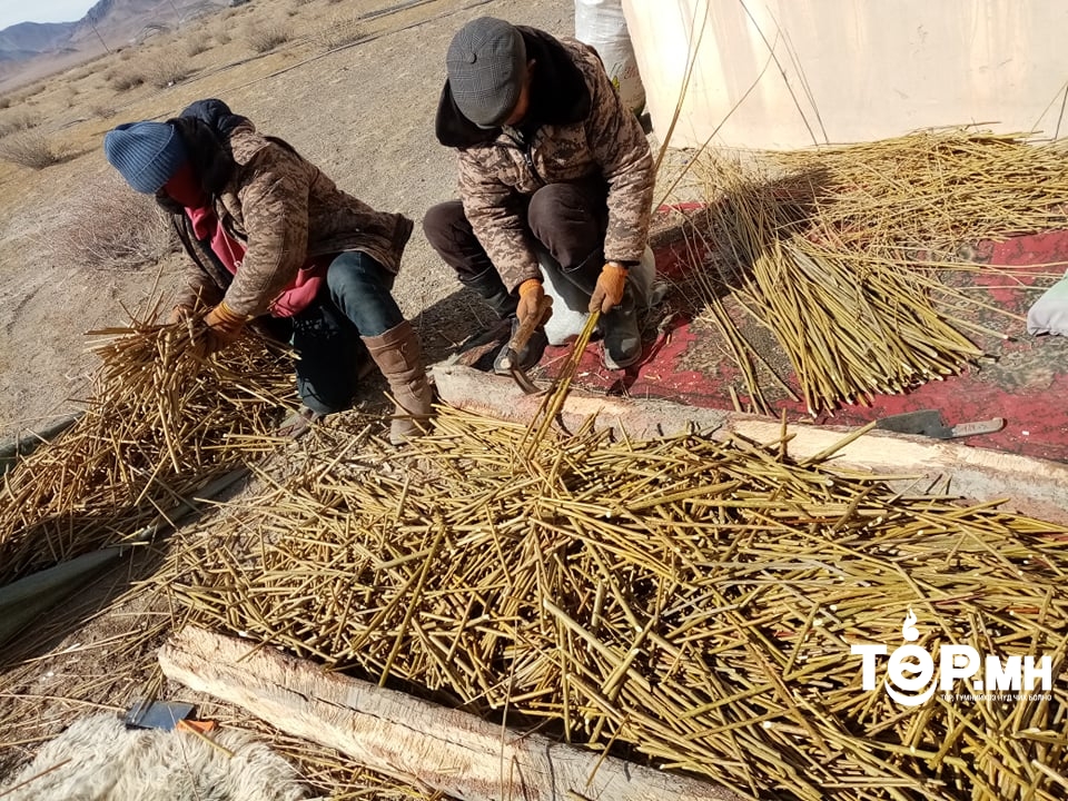 Баян-Өлгий аймгийн сум дундын ойн анги “Тэрбум мод” үндэсний хөдөлгөөний бэлтгэл ажлаа хангалаа