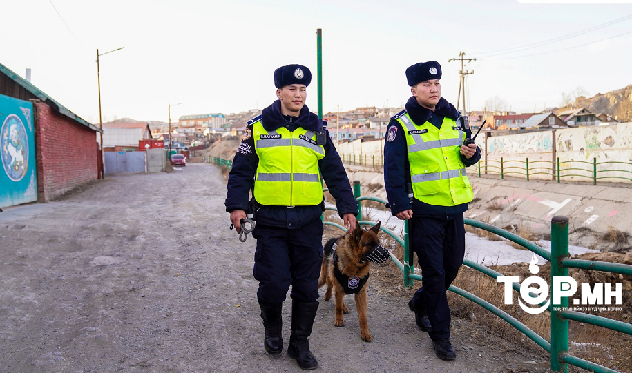 Нийслэлийн хэмжээнд НОХОЙТ ЭРГҮҮЛ үүрэг гүйцэтгэж эхэллээ