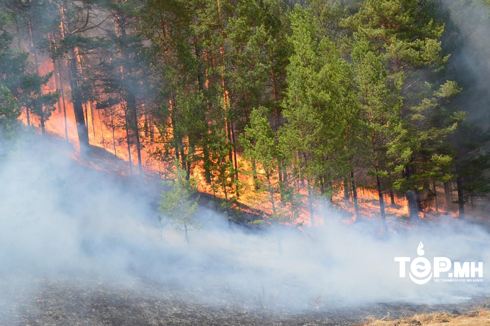 2023 он гарсаар ой, хээрийн гал түймрийн 31 тохиолдол бүртгэгдсэн байна
