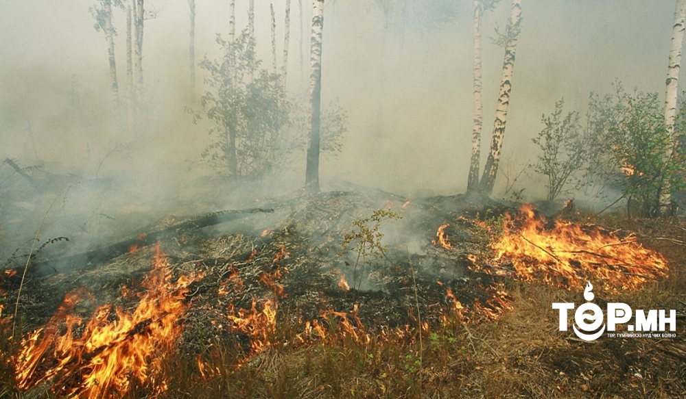 ОБЕГ: Салхи шуурга ихтэйн улмаас гарсан түймэр богино хугацаанд их талбайг эзэлж байна