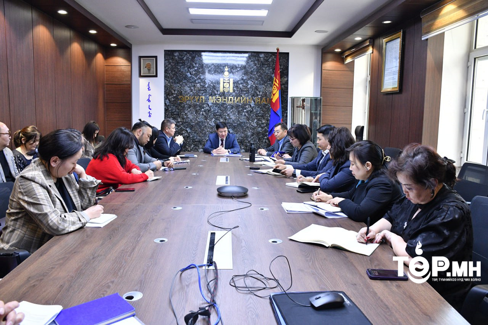 С.Чинзориг сайд эмийн үнэ, чанартай холбоотой асуудлаар эм хангамжийн топ компаниудтай уулзалт хийлээ