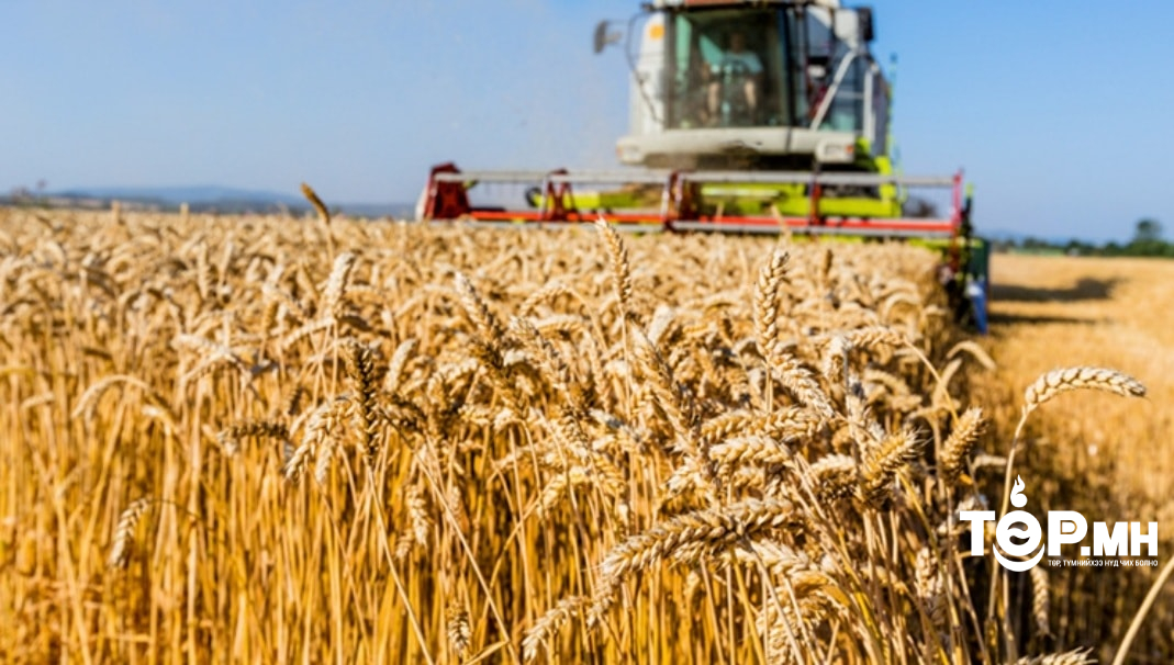 "Тариалангийн сэргэлт" чуулганд Хөдөө, аж ахуйн салбарын 800 гаруй төлөөлөгч оролцоно