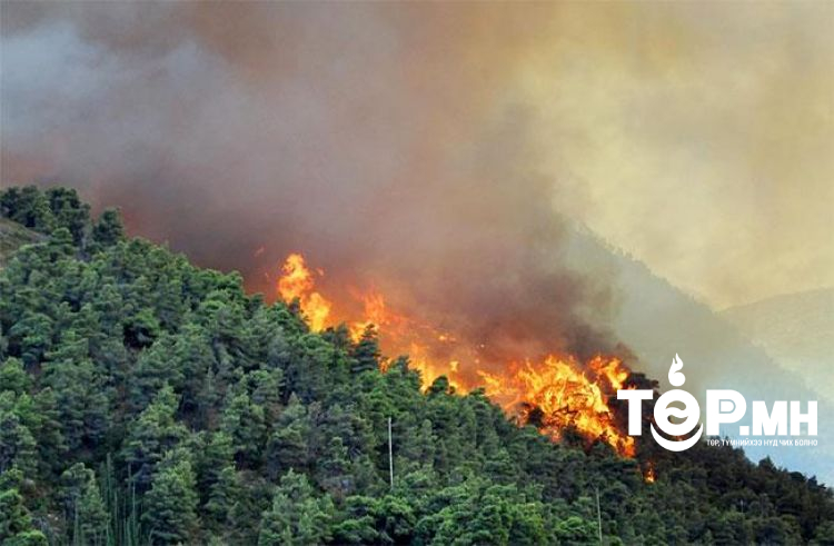 Ой, хээрийн 44 удаагийн түймэр гарч, 435.658 га талбай түймэрт өртжээ