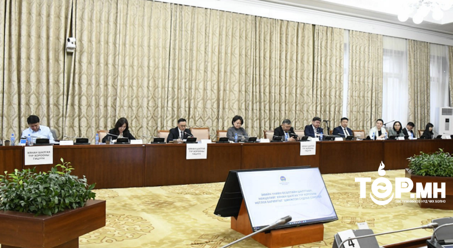 Эмийн үнийн өсөлтийн талаарх нээлттэй сонсголоор гурван сэдвийн хүрээнд нийт 32 асуудлыг дэлгэлээ