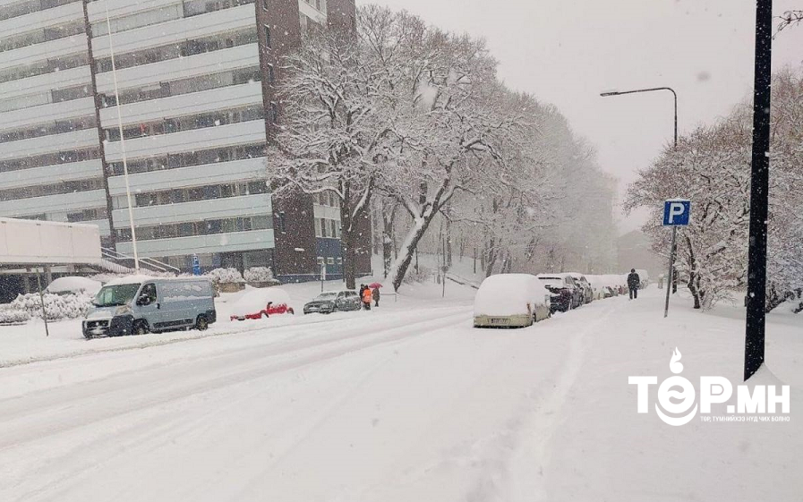 Финлянд болон Эстонд их хэмжээний цас орж, байгалийн гамшигт үзэгдэл тохиолджээ