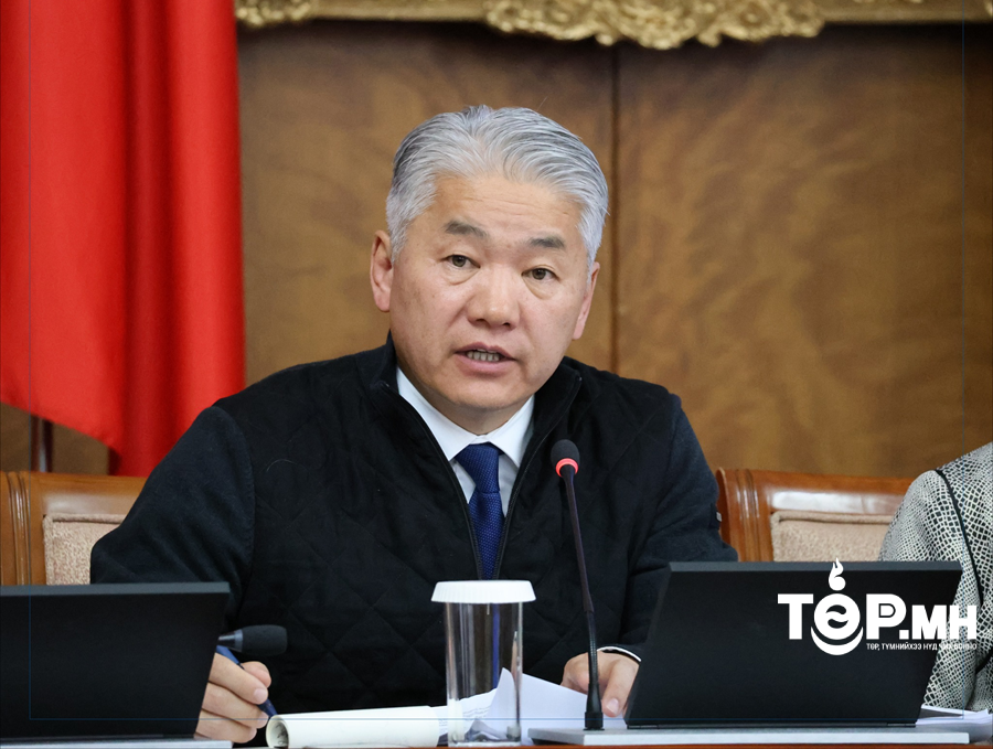 Ж.Энхбаяр: Улаанбуудай болон бэлэн гурилын нөөц хангалттай тул 2025 оны ургац хураалт болтол ямар нэгэн үнийн өсөлт гарахгүй