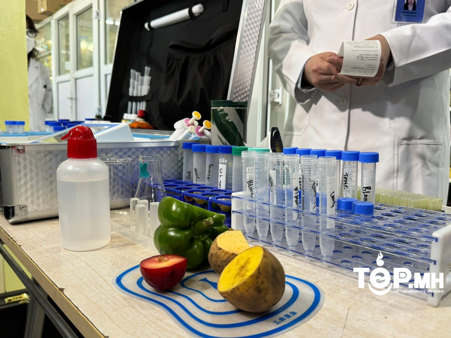 Импортоор оруулж ирсэн ногоон чинжүүнээс пестицидийн үлдэгдэл илэрчээ