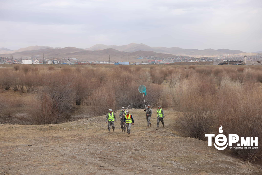 Я.Чулуунхүү: Эзэнгүй нохой, муурыг барьж, иргэдийн аюулгүй орчинд амьдрах орчныг бүрдүүлж байна