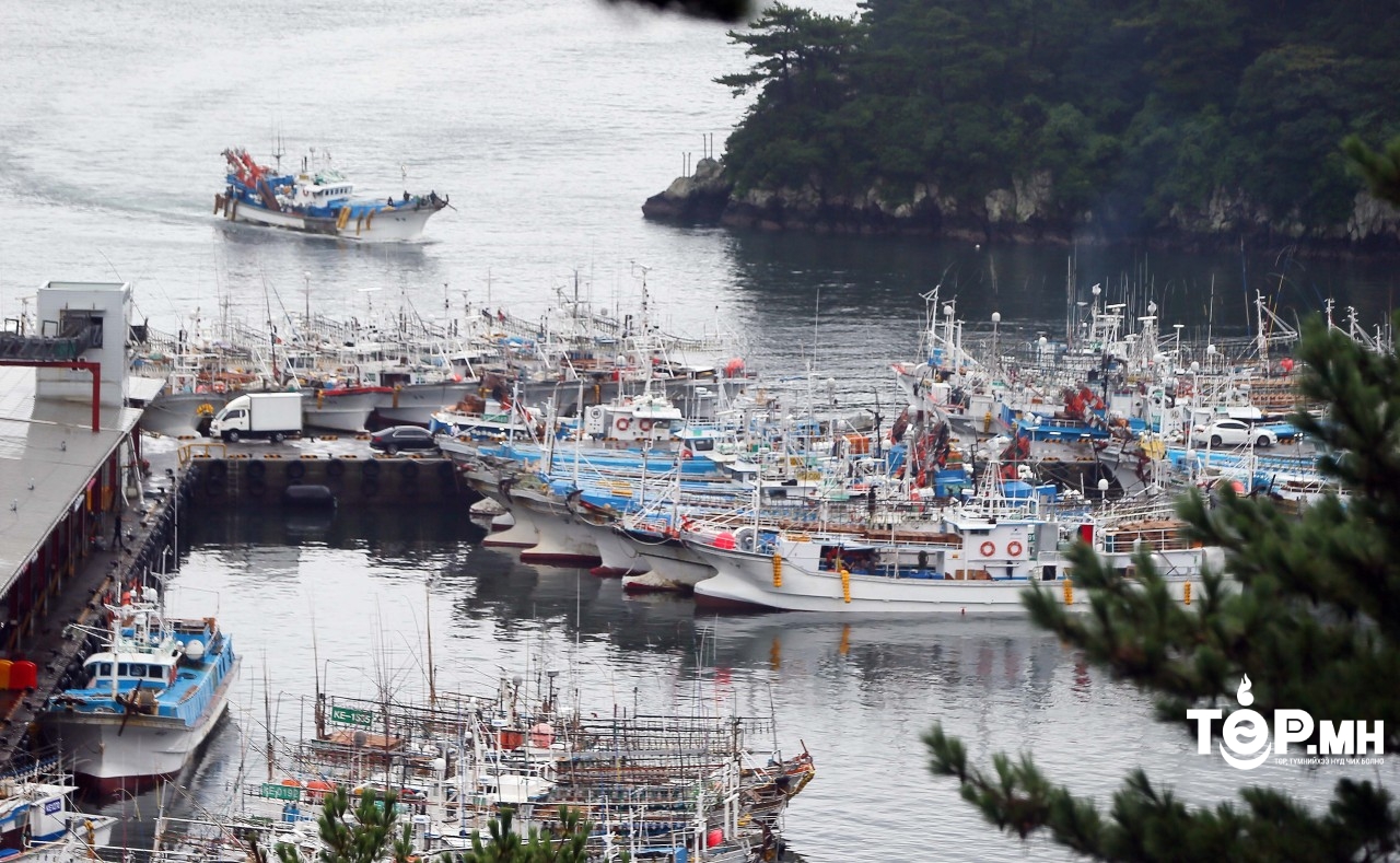 Омайс далайн шуурга Өмнөд Солонгос улс руу чиглэжээ