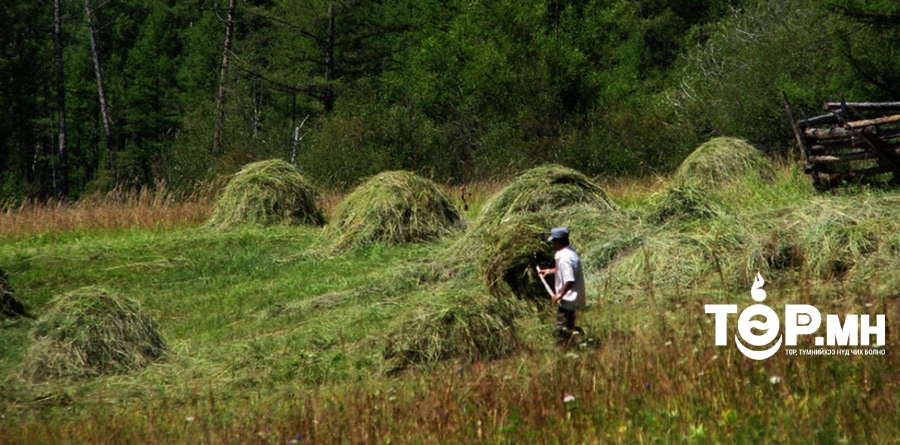 Хадлан хадаж байгаад сураггүй  алга болсон иргэнийг эрэн хайх ажиллагаа үргэлжилж байна