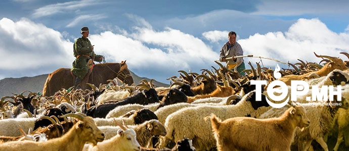 Малчид иргэний үнэмлэхний QR кодоо ашиглан EBARIMT өгнө