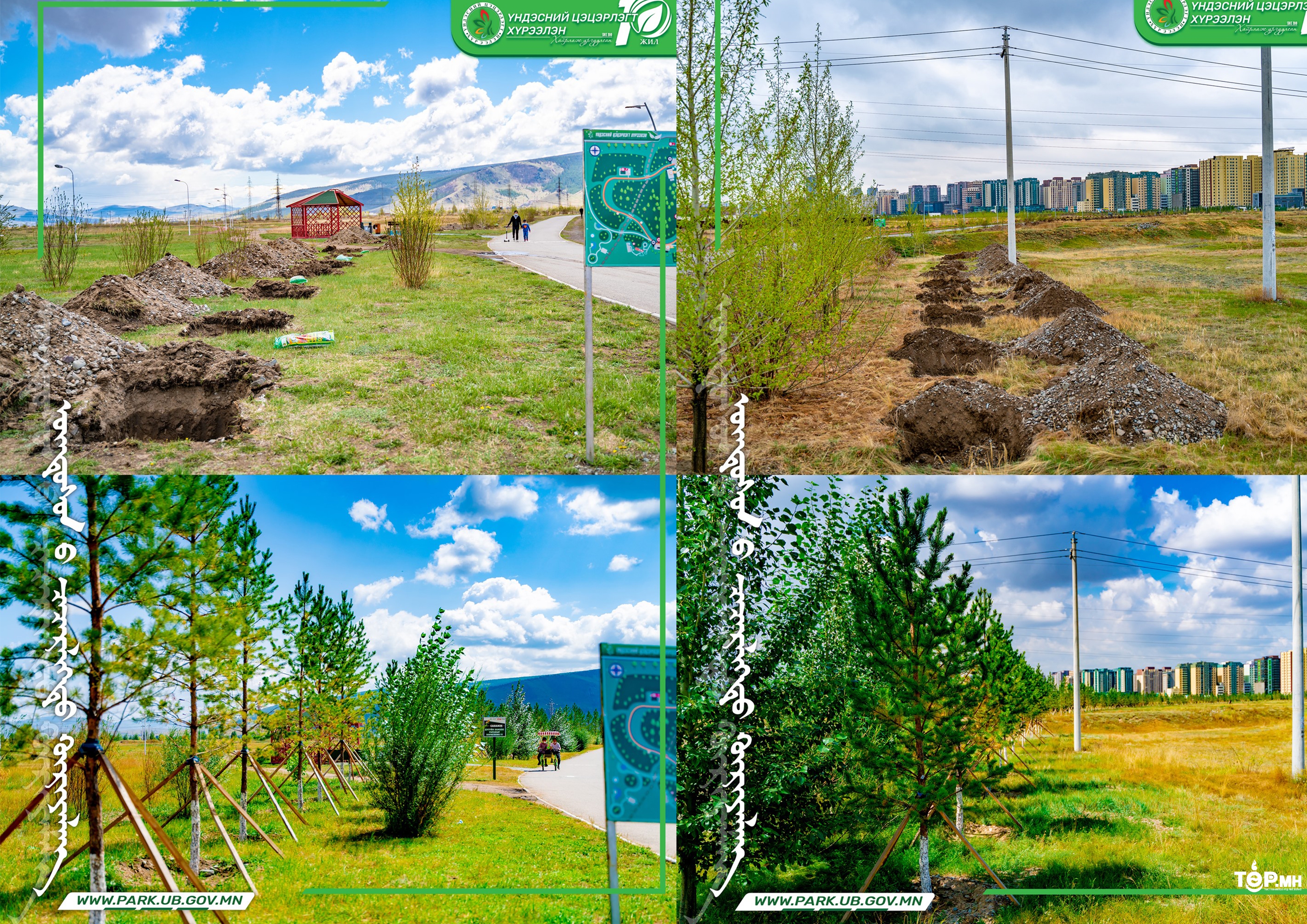 “ҮНДЭСНИЙ ЦЭЦЭРЛЭГТ ХҮРЭЭЛЭН”-д суулгасан нарс моднууд амжилттай ургаж байна