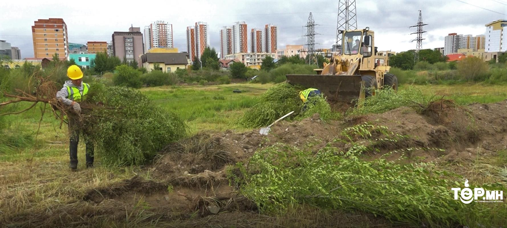 Авто замын трасст орсон бургаснуудыг шилжүүлэн суулгаж эхэллээ