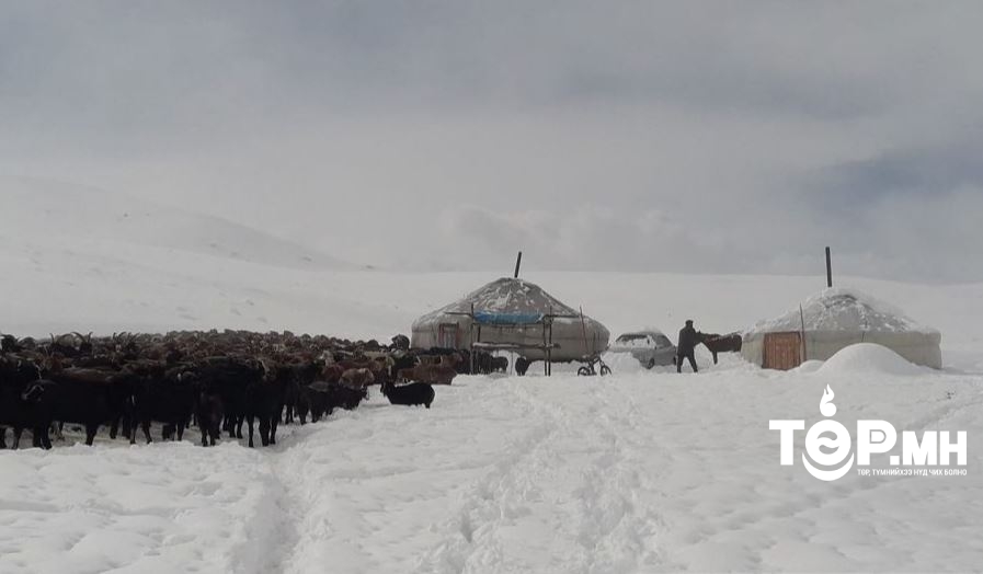 Баян-Өлгийд их хэмжээний цас орж, нөхцөл байдал хүндэрч байна