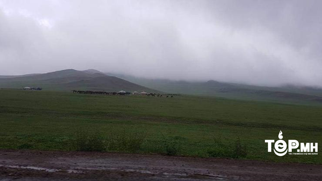 Хүчтэй аадар борооны улмаас 80 орчим бог мал үерийн усанд хорогджээ