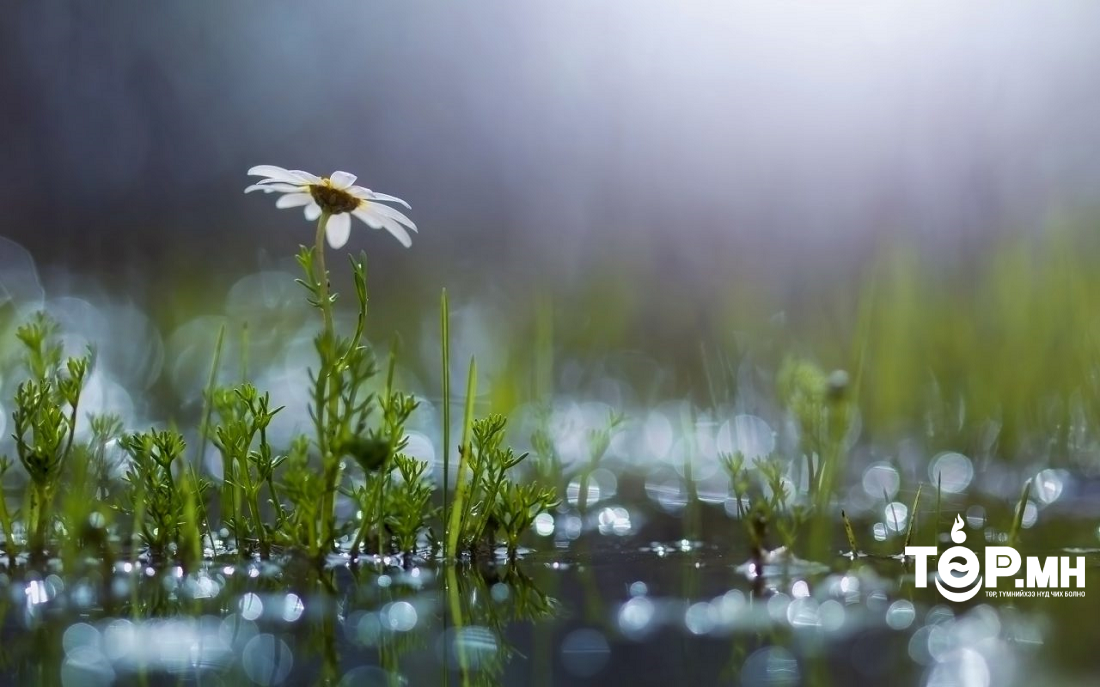 Нийт нутгийн 60 гаруй хувьд хур тунадас оржээ