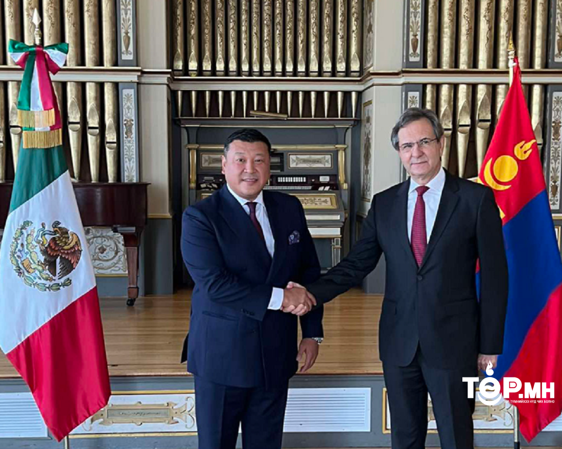 Элчин сайд Ө.Батбаяр итгэмжлэх жуух бичгийн хуулбараа гардуулав