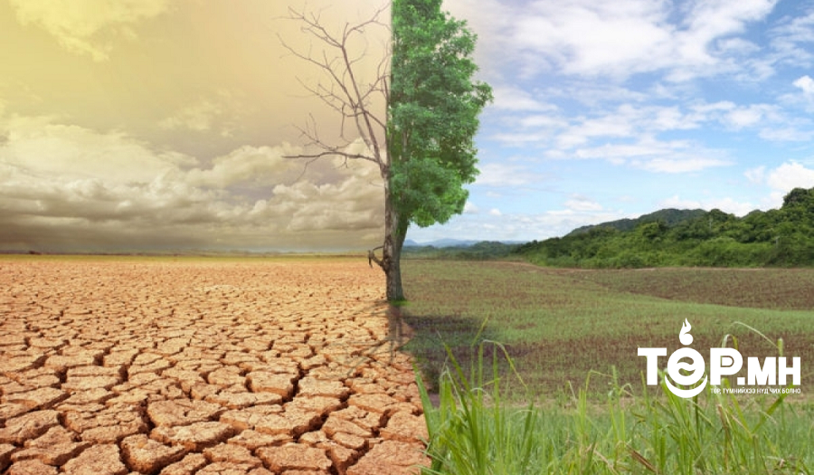 Монгол улсын нийт нутаг дэвсгэрийн 4,7 хувь нь нэн цөлжсөн байна