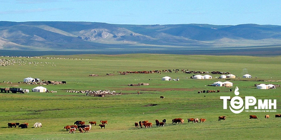 2023-2024 оны өвөл-хаврын бэлчээрийн даац нутгийн 50 орчим хувьд хүрэлцээтэй байна