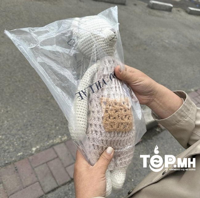 "Канад охин Монголд гээсэн "бамбарууш"-аа удахгүй хүлээн авна