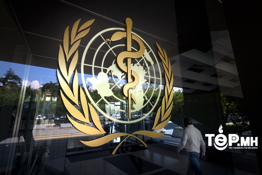 ДЭМБ: Денге чичрэгийн цочмог халдварт өвчлөлийн тоо эрчимтэй ихсэж байгааг анхааруулж байна