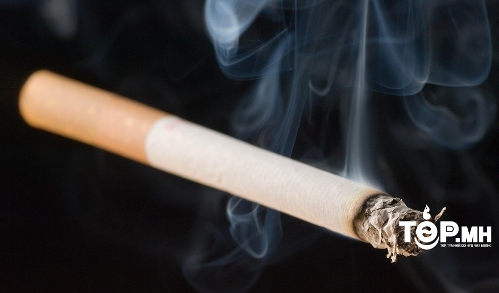 Манай улсад тамхины улмаас жил бүр 4,300 орчим хүн нас барж байна