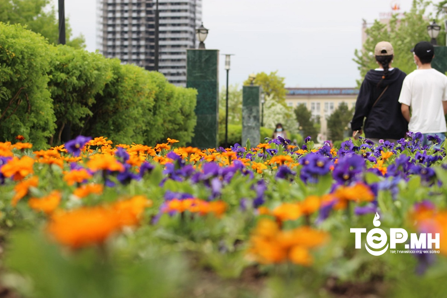 Улаанбаатар хотод өдөртөө 25 хэм дулаан