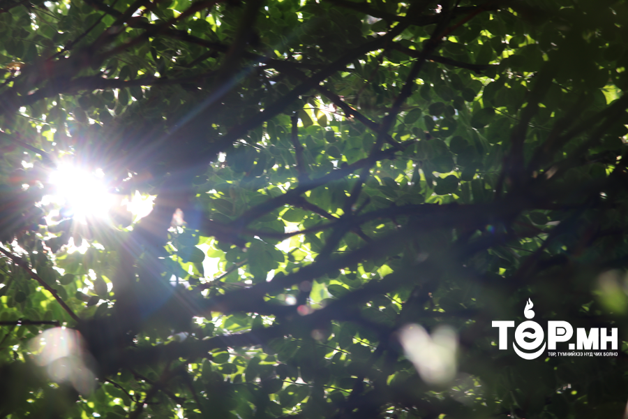 Улаанбаатар хотод өдөртөө 25 хэм дулаан