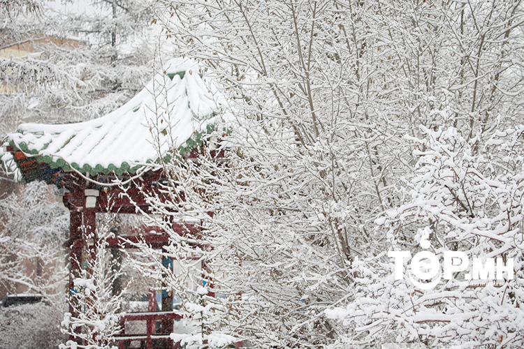 Цас орж, ихэнх нутгаар хүйтэрнэ