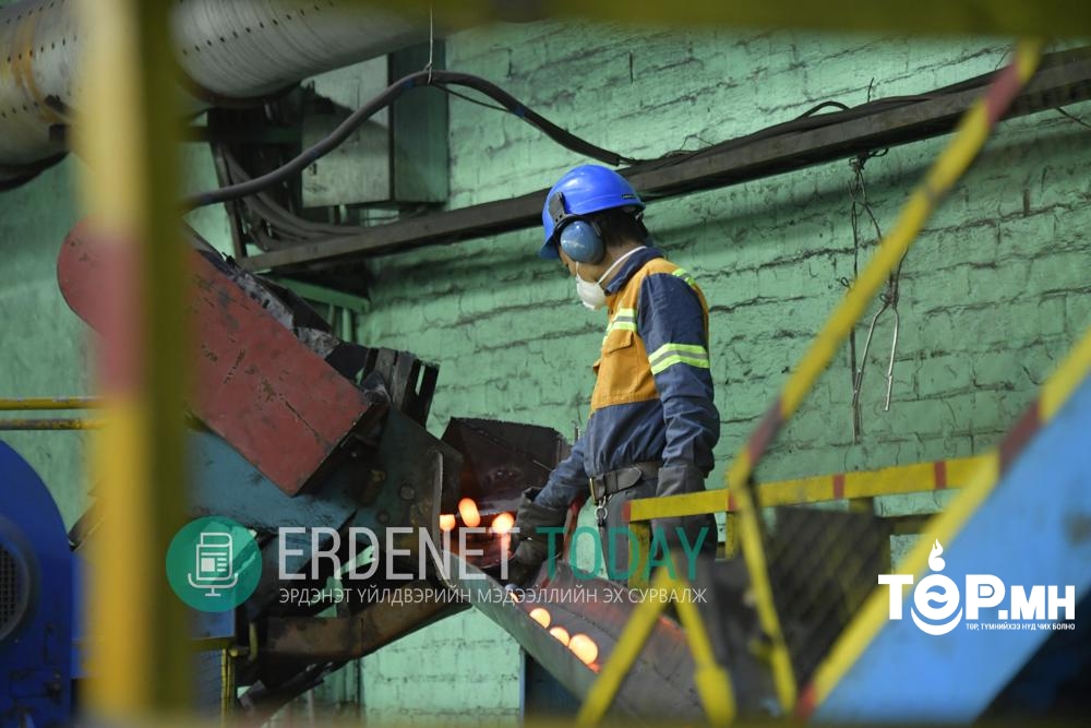 Ган бөөрөнцөг үйлдвэрлэгчид шахуу төлөвлөгөөтэй ажиллаж байна