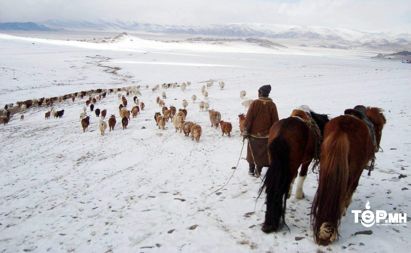 Зудын эрсдэлтэй 1000 өрх тус бүрт 370 мянган төгрөгийн тусламж үзүүлнэ