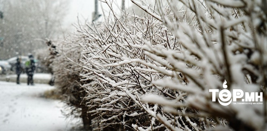 Ойрын 3 хоногт ихэнх нутгаар хүйтний эрч хэвээр байна