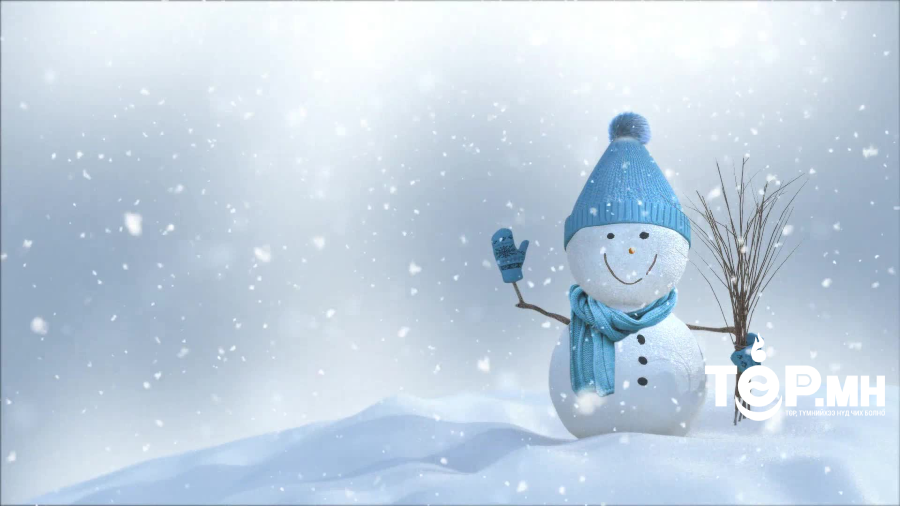 Улаанбаатар хотод өдөртөө ялимгүй цас орно