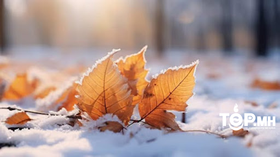 Амралтын өдрүүдэд ихэнх нутгаар цаг агаар тогтуун, өдөртөө хүйтний эрч суларна