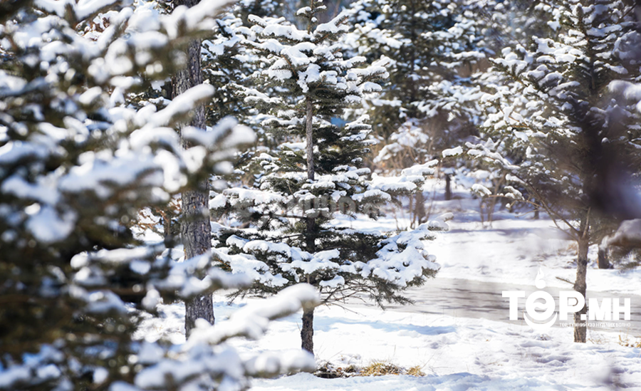 Өнөөдөр Увс нуурын хотгор, Хангай, Хөвсгөл, Хэнтийн уулархаг нутгаар цас орно