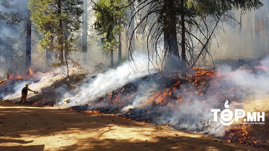 АНУ-ын Калифорни мужид ой, хээрийн түймэр гарч, 10.000 гаруй оршин суугчийг нүүлгэн шилжүүлээд байна