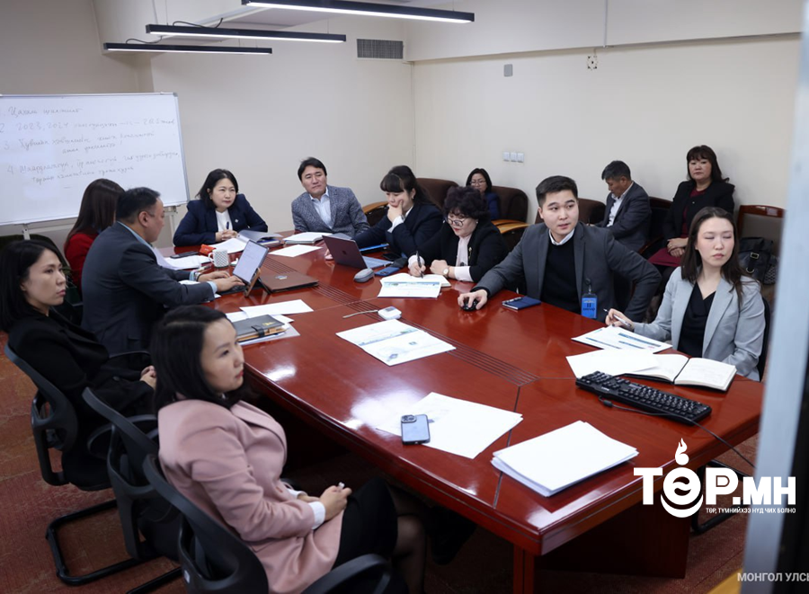 Тамхин бүтээгдэхүүний татварын тухай мэдээллүүдийг сонсож, үйл ажиллагааны удирдамжийг баталлаа