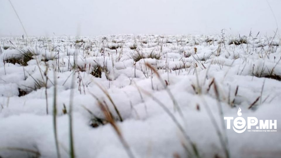 Өнөөдөр нутгийн зүүн өмнөд хэсгээр цас орж, нутгийн зүүн хагаст хүйтэн байна