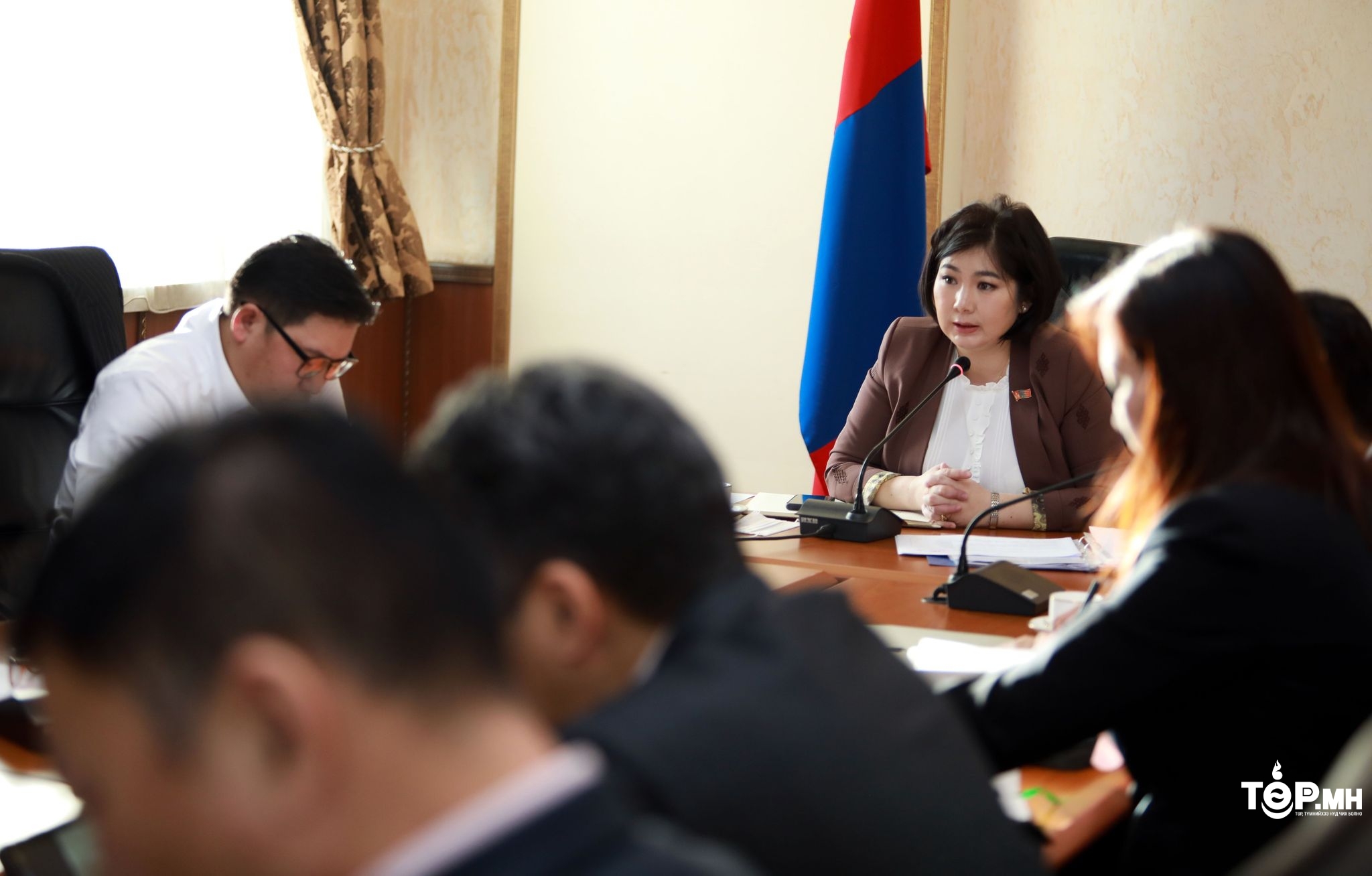 Үндэсний соёл амралтын хүрээлэнгийн талаар нээлттэй хэлэлцэхээр санал нэгдлээ