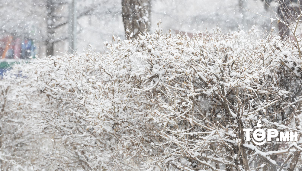 Хангайн уулархаг нутаг, говийн бүс нутгийн зүүн өмнөд хэсгээр цас орно
