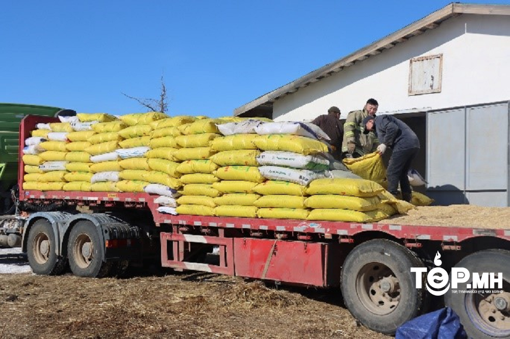 Архангай аймаг малчиддаа хөнгөлөлттэй үнээр тэжээл олгож эхэллээ