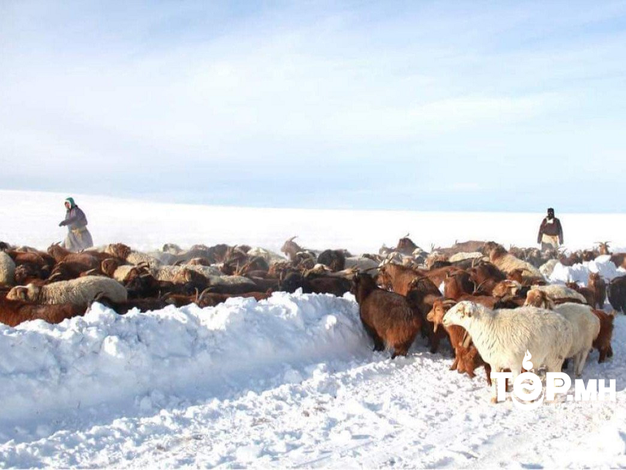 14 аймгийн 49 суманд төмөр буюу шилэн зудтай байна