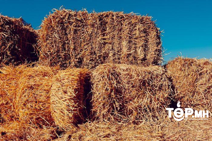 Орон нутагт өвс, тэжээлийг хөнгөлөлттэй үнээр хүргэх ажил үргэлжилж байна