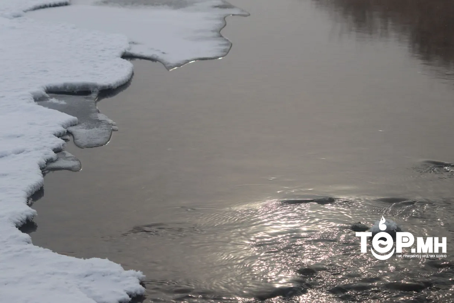 Харзны усанд ороод амиа алджээ