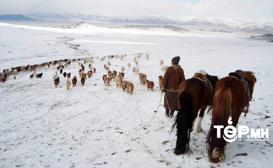 Малтай өрхийн тоо 247.8 мянга болж өмнөх оноос 0.5 мянгаар буурчээ.