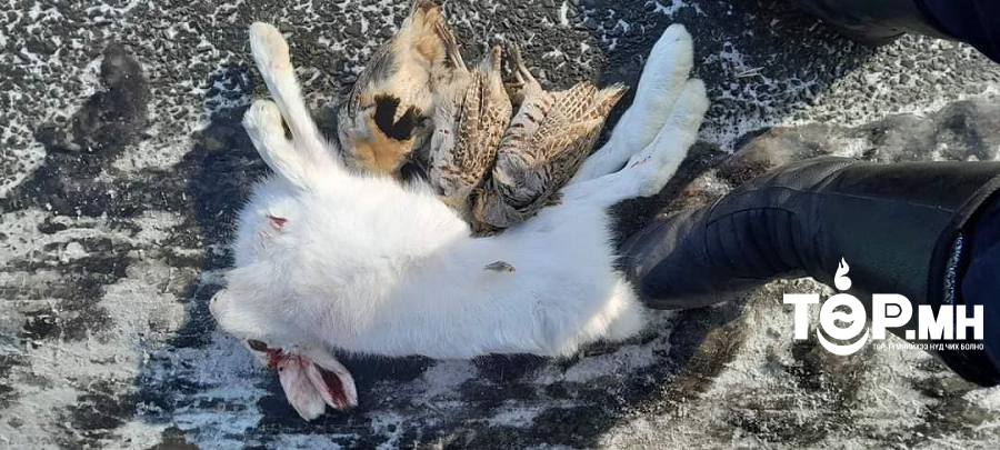 2024 оны эхний 01 дүгээр сард 317 гэмт хэрэг, зөрчлийн шинжтэй үйлдлийг илрүүлжээ